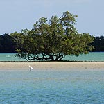 PA110056