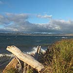 DSCF5682