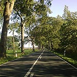 19082010010