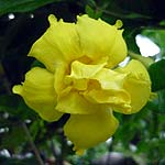 P1010324