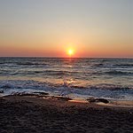 DSCF4522