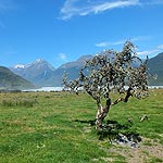 DSCF6522