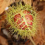 S0035896
