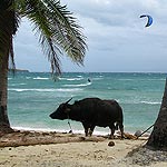 IMG_3845