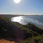 P9290010