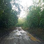 IMG_20150216_165113