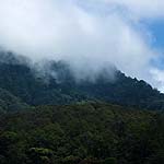 DSCF5486