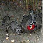 DSCF5669