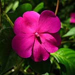 P1010398