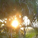 P1010565
