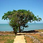 P1010621