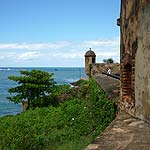 P1010425