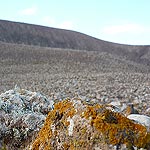 P1040587