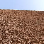 DSCF3784
