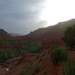 DSCF4110