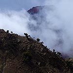 DSCF4121