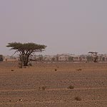 DSCF3944