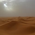 DSCF3978