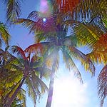 DSCF7635