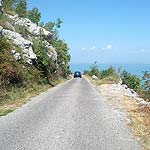 IMG_20150903_124723
