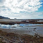 DSCF7140