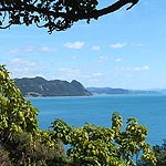 DSCF8524
