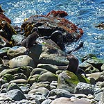 DSCF5112