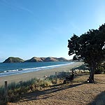 DSCF8775