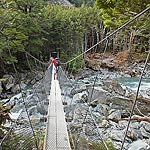 DSCF6405