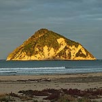 DSCF8443