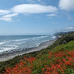 DSCF7120
