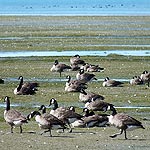 DSCF7348