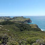 DSCF7490