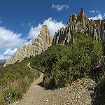 DSCF6778