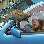 DSCF5307