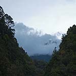 DSCF5064