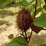 P1280030