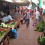 IMG_20160210_152436558