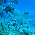 DSC00058
