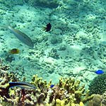 IMG_2176