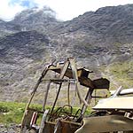 CIMG5488