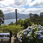 CIMG5815