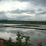 DSC09845